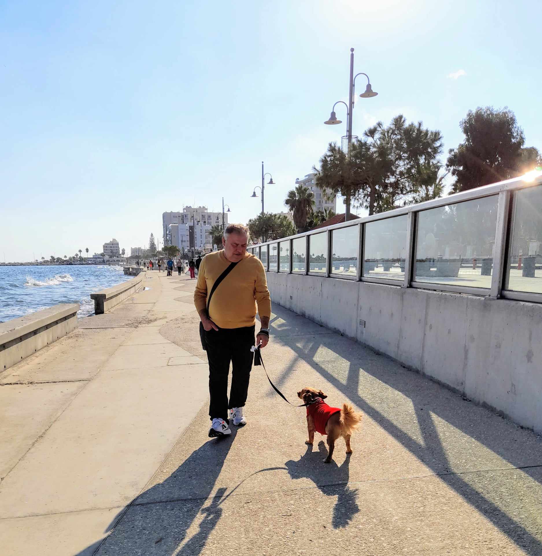 d4a48c31 a2c4 4113 ae28 7443b33f182c